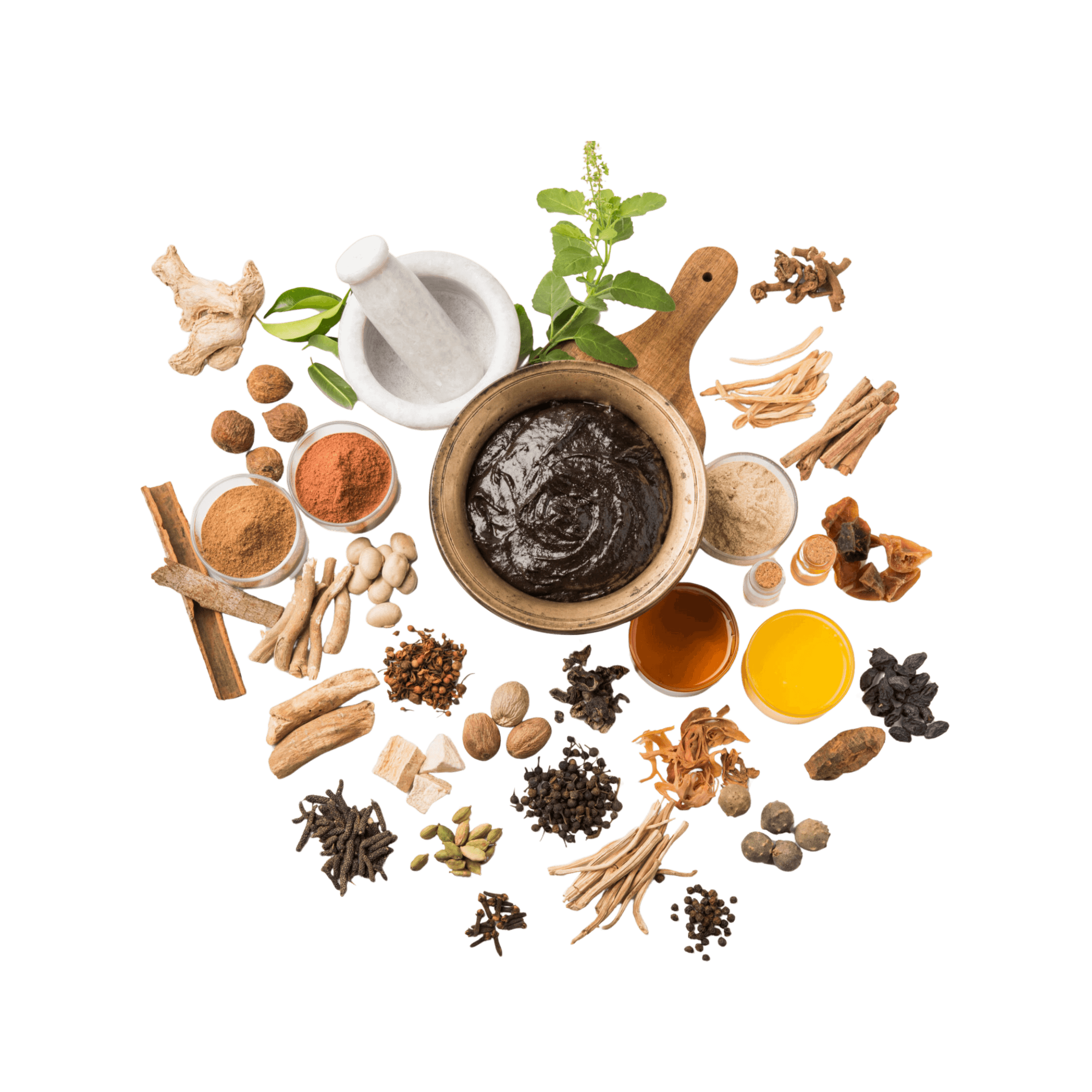 Ayurvedic consulting session